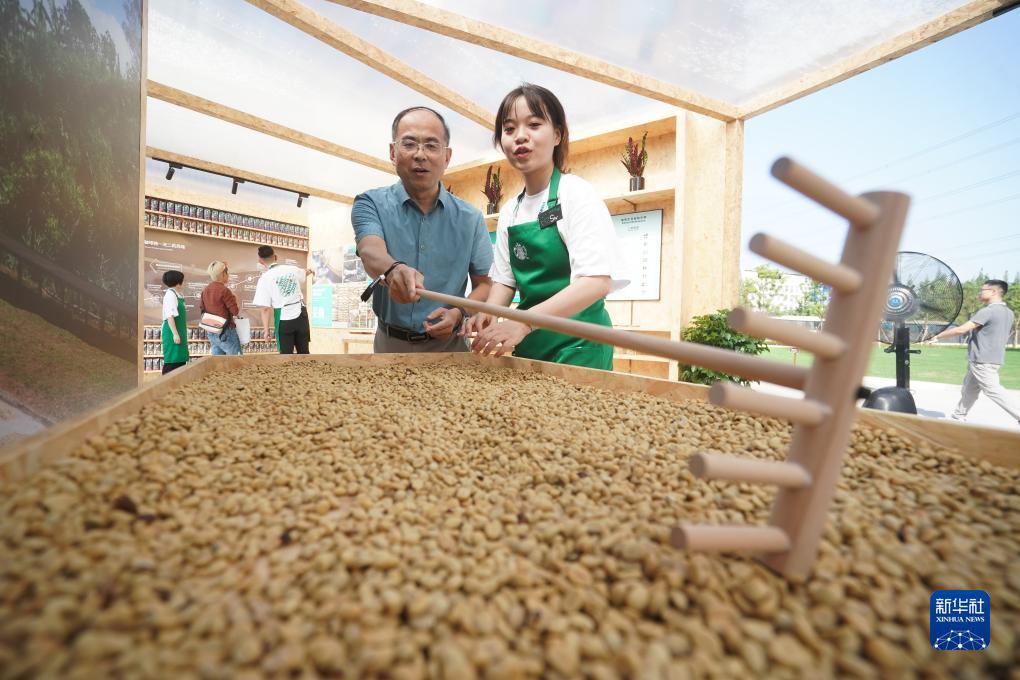 太阳城游戏官网网址
